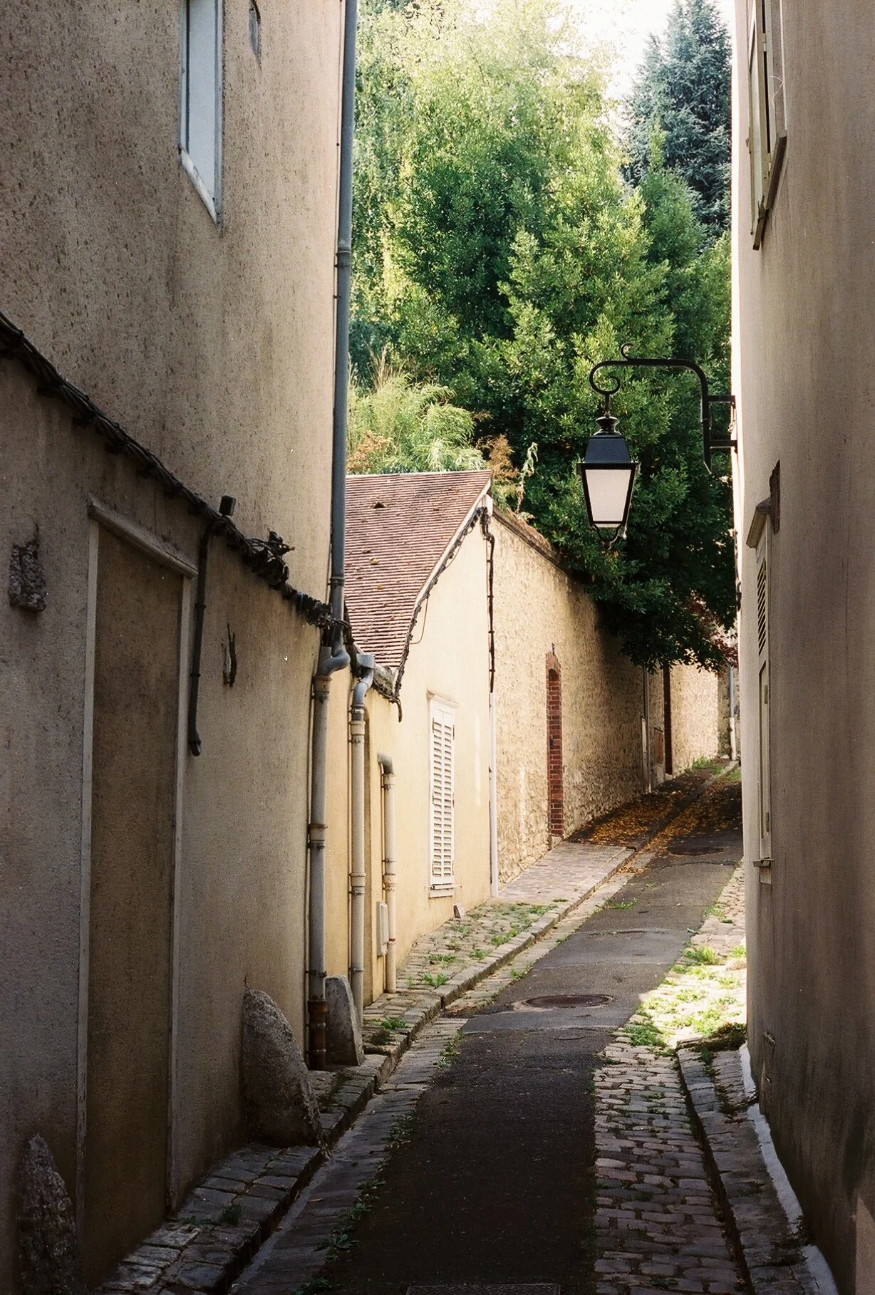 wander, france, 2019