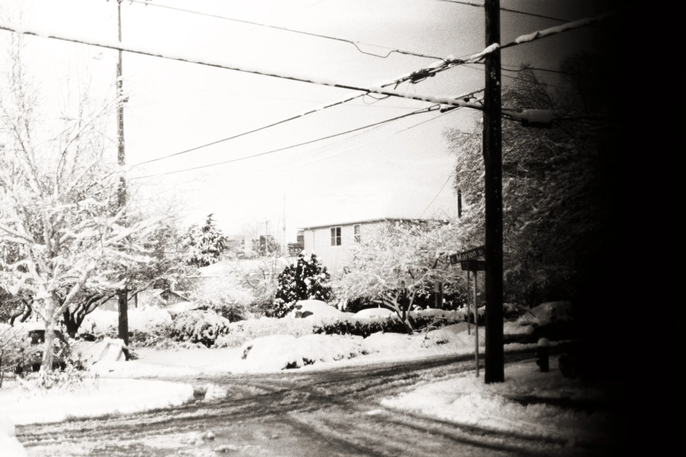winter mornings, seattle, 2019