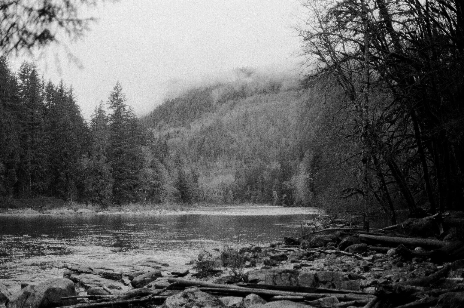 along the river, washington, 2018