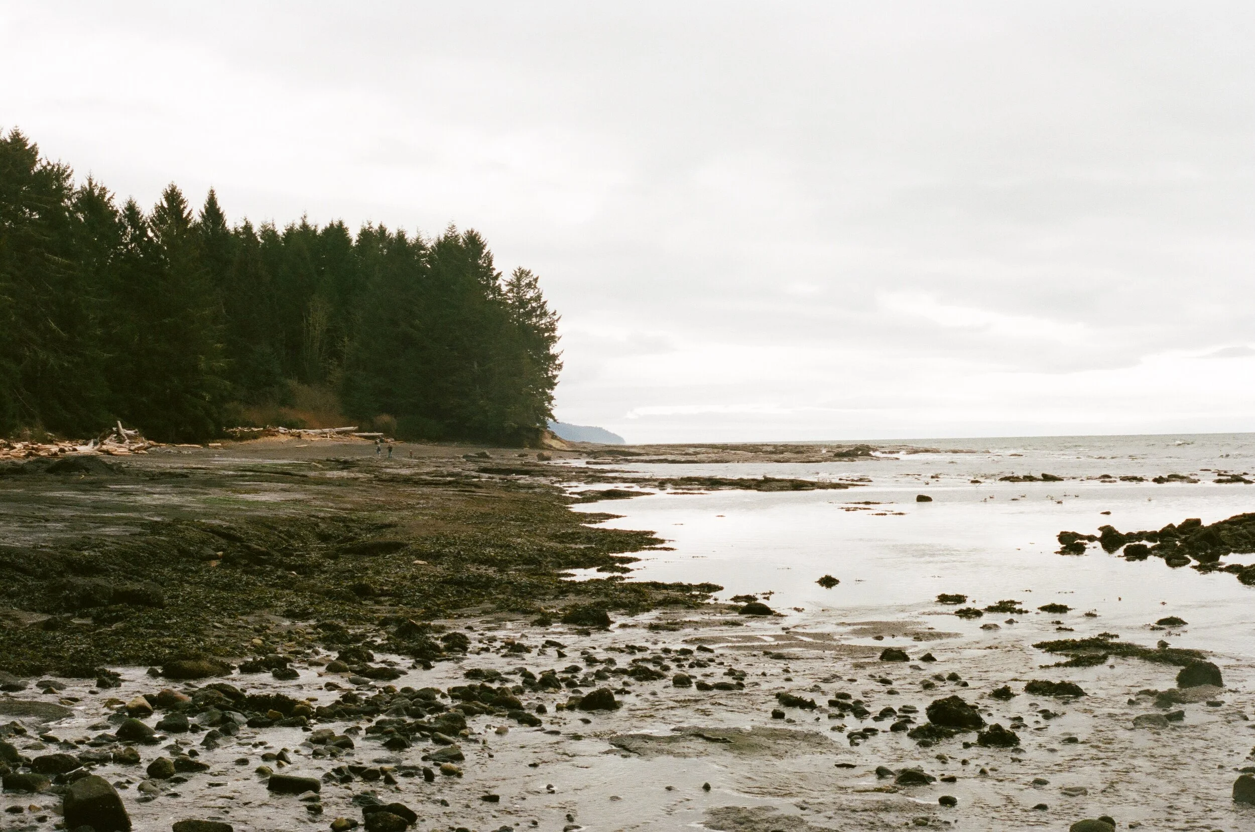 endless, british columbia, 2017
