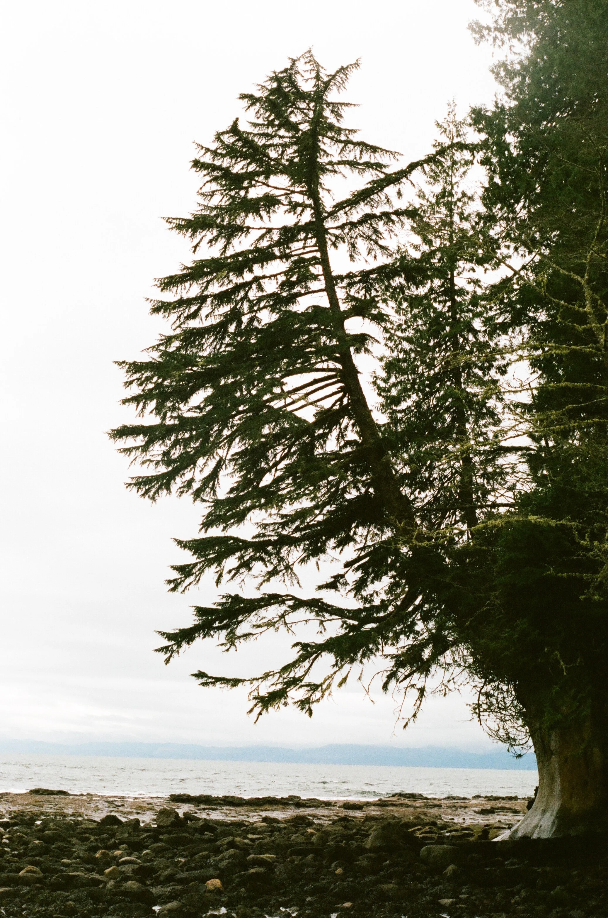 cliffside, british columbia, 2017