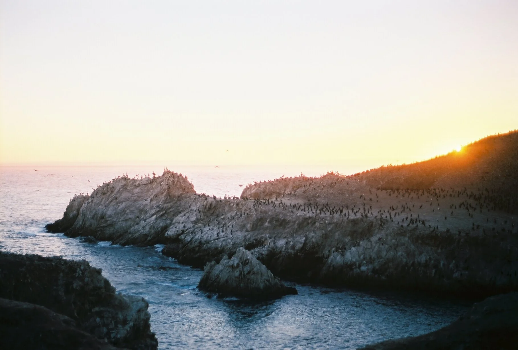 dawning, california, 2018