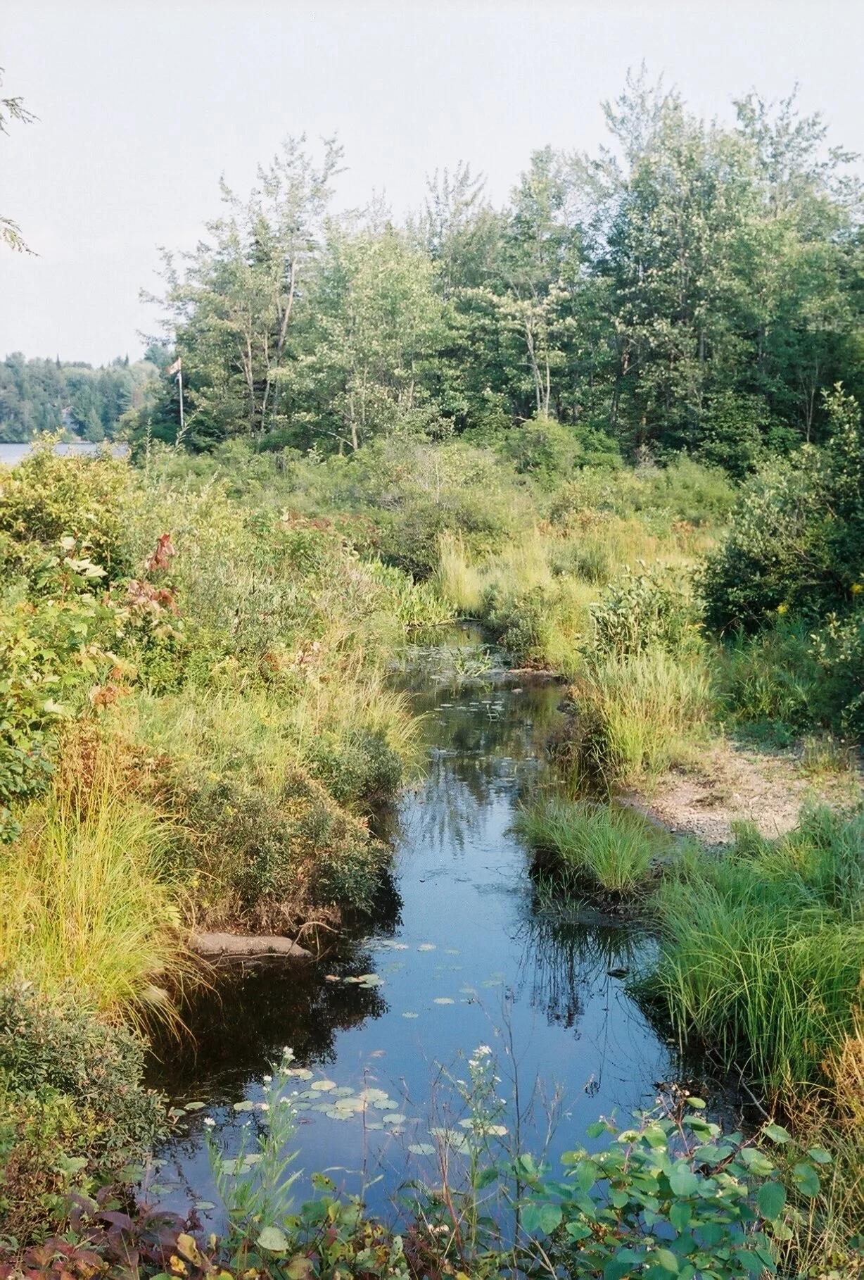 down the river, quebec, 2017