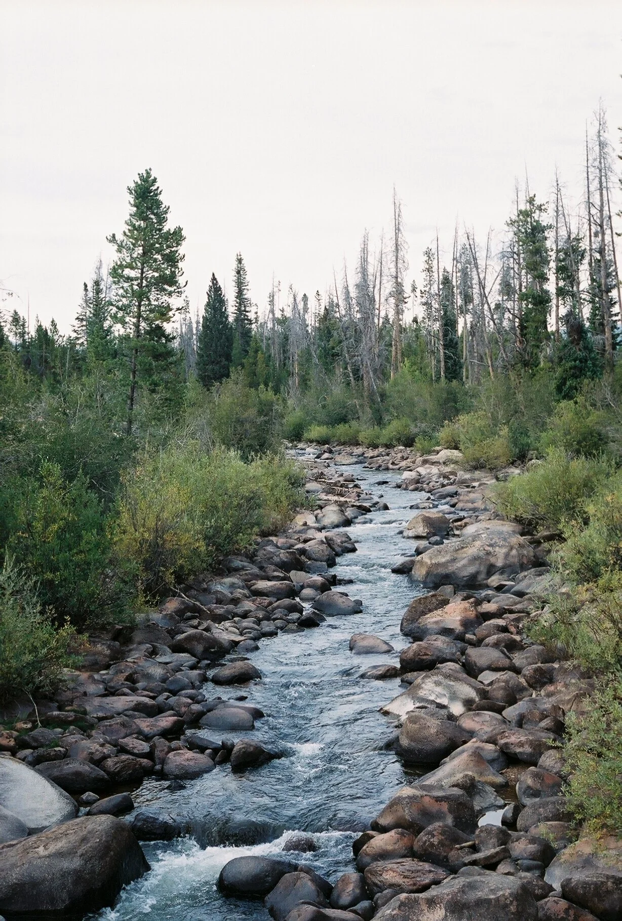 free flowing, colorado, 2019
