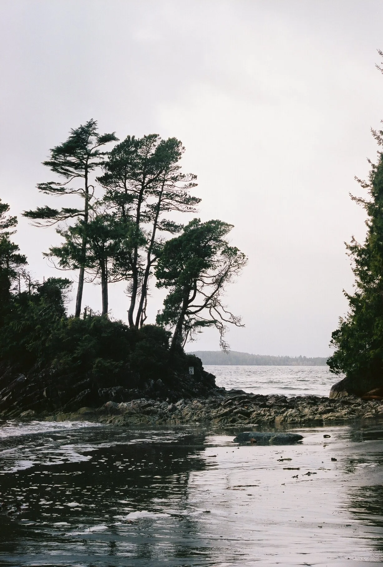 tofino, british columbia, 2018