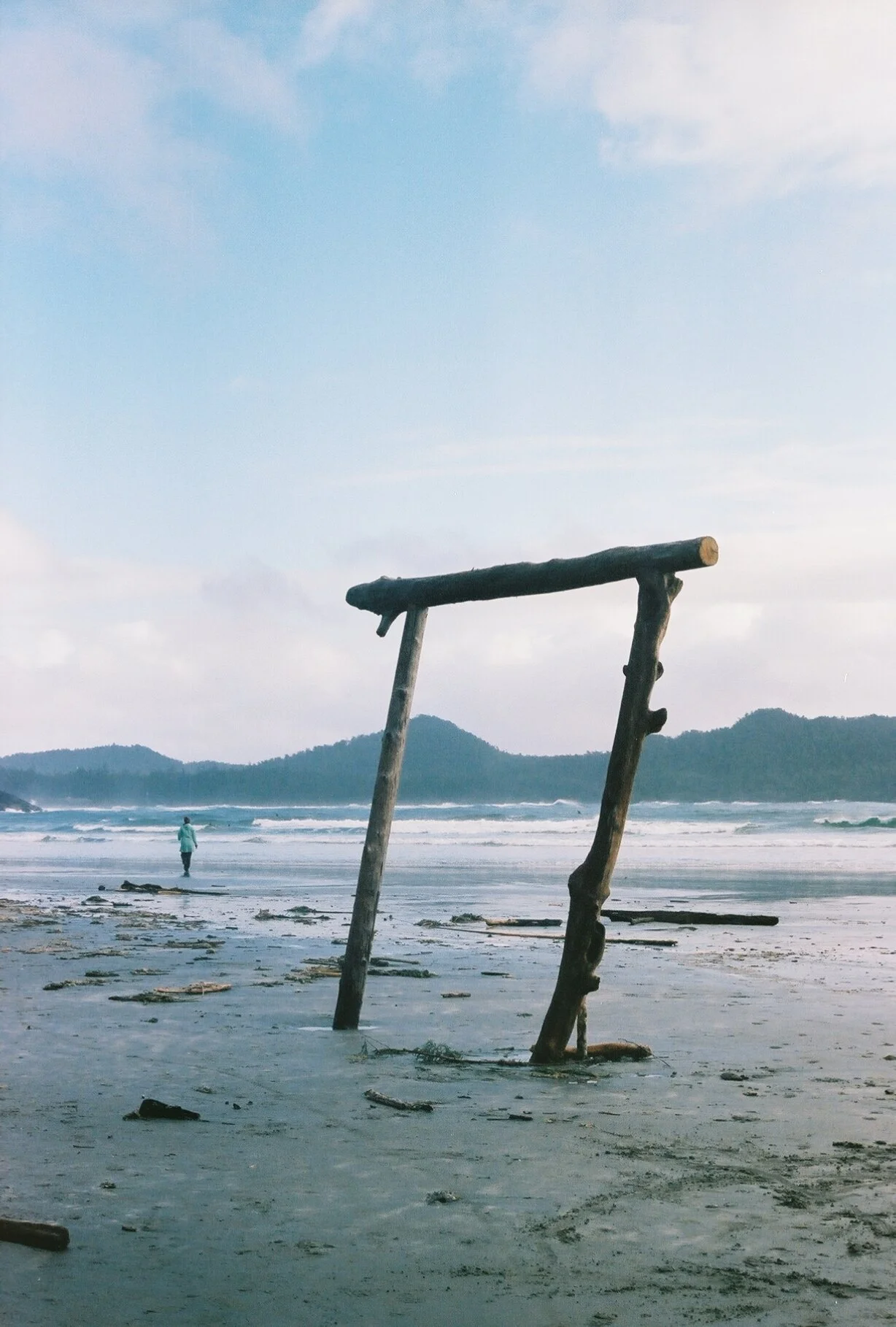 driftwood, tofino, 2018