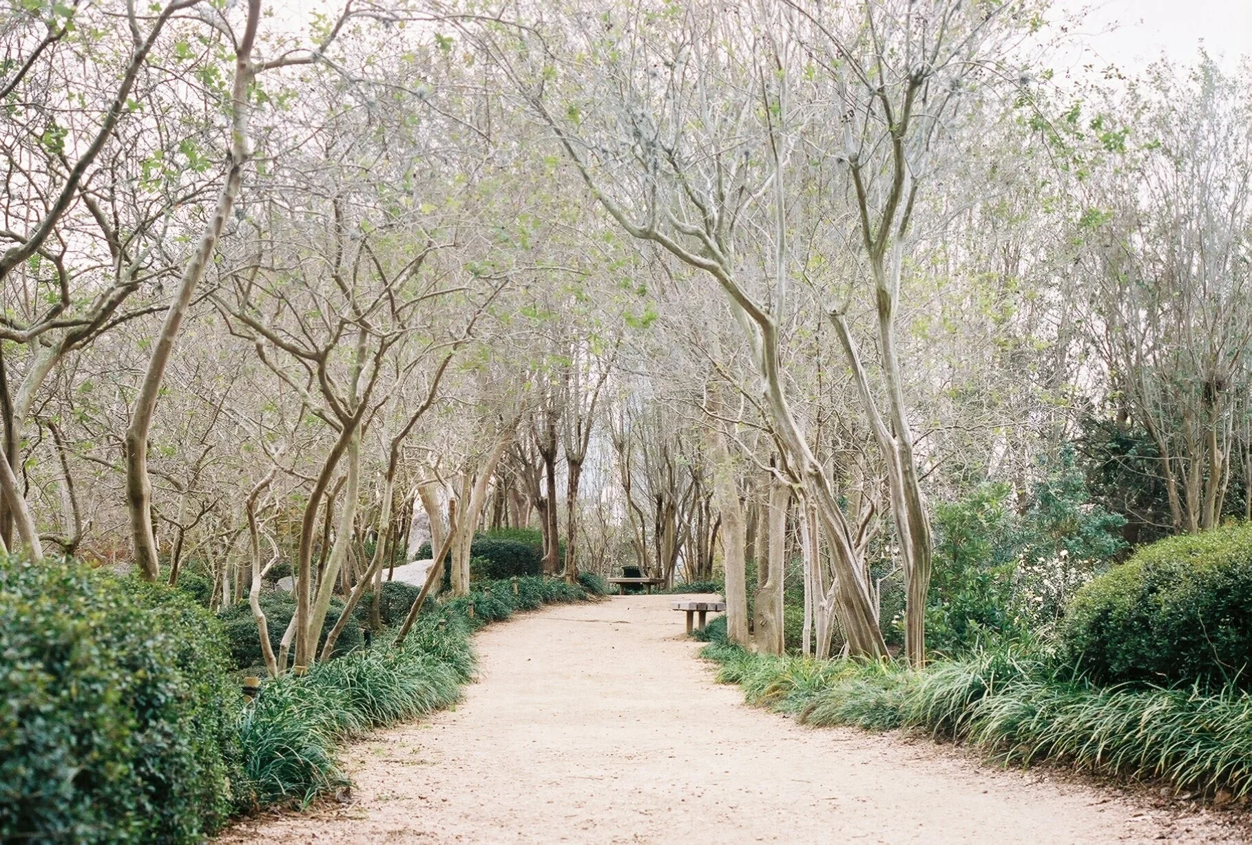 winter, houston, 2017