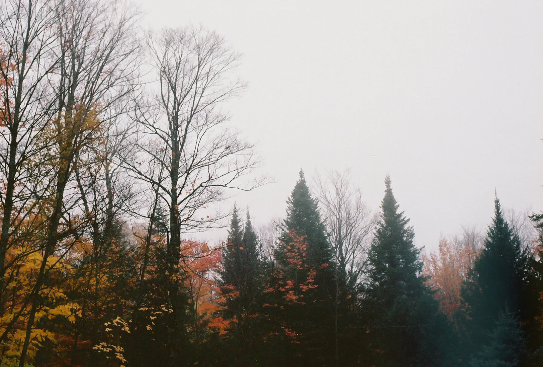 fading, quebec, 2020