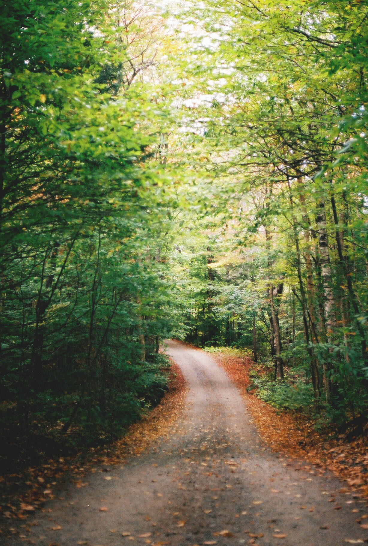 golden path, quebec, 2020
