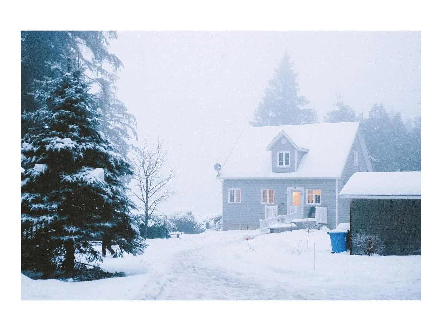 winter
&bull;
&bull;
&bull;
&bull;
&bull;
#betterdaysonfilm #filmlifemagazine #filmtweakers #shootfilmmag #drivebyfilm #thefilmstead #infilmwetrust #shootitwithfilm #bestfilmphoto #goldmoony #ATGFilmClub #woofermagazine #forevermagazine #fivesixmag #