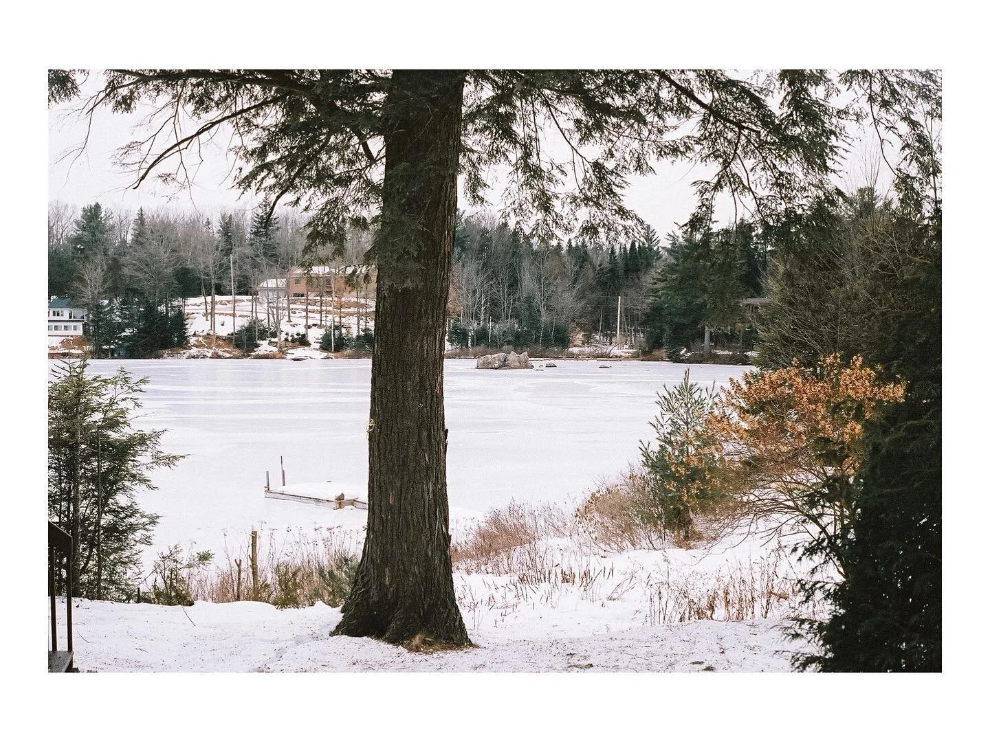 colors of winter 
&bull;
&bull;
&bull;
&bull;
&bull;
#betterdaysonfilm #lowqualityfilm #filmlifemagazine #filmtweakers #filmdiscovered #shootfilmmag #drivebyfilm #thefilmstead #infilmwetrust #shootitwithfilm #bestfilmphoto #woofermagazine #forevermag