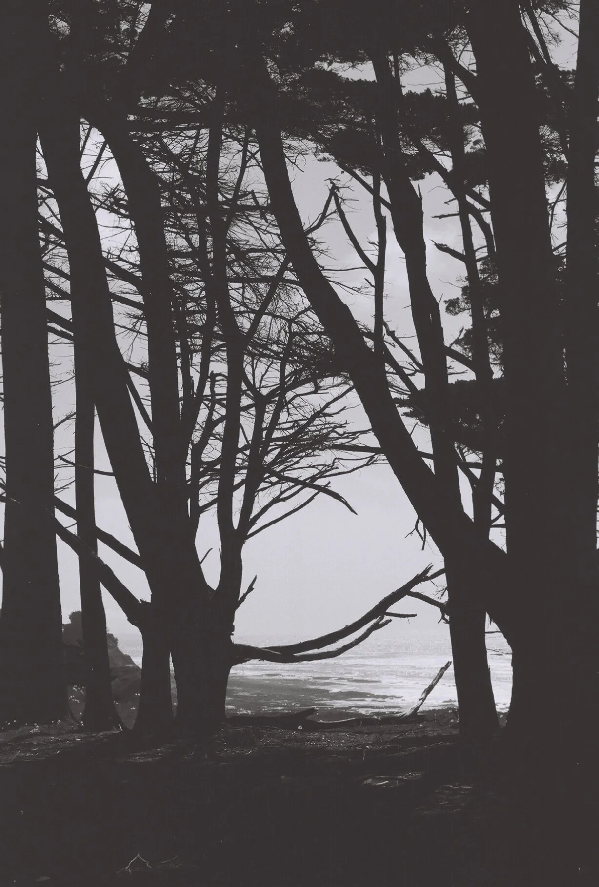 look through, california, 2021