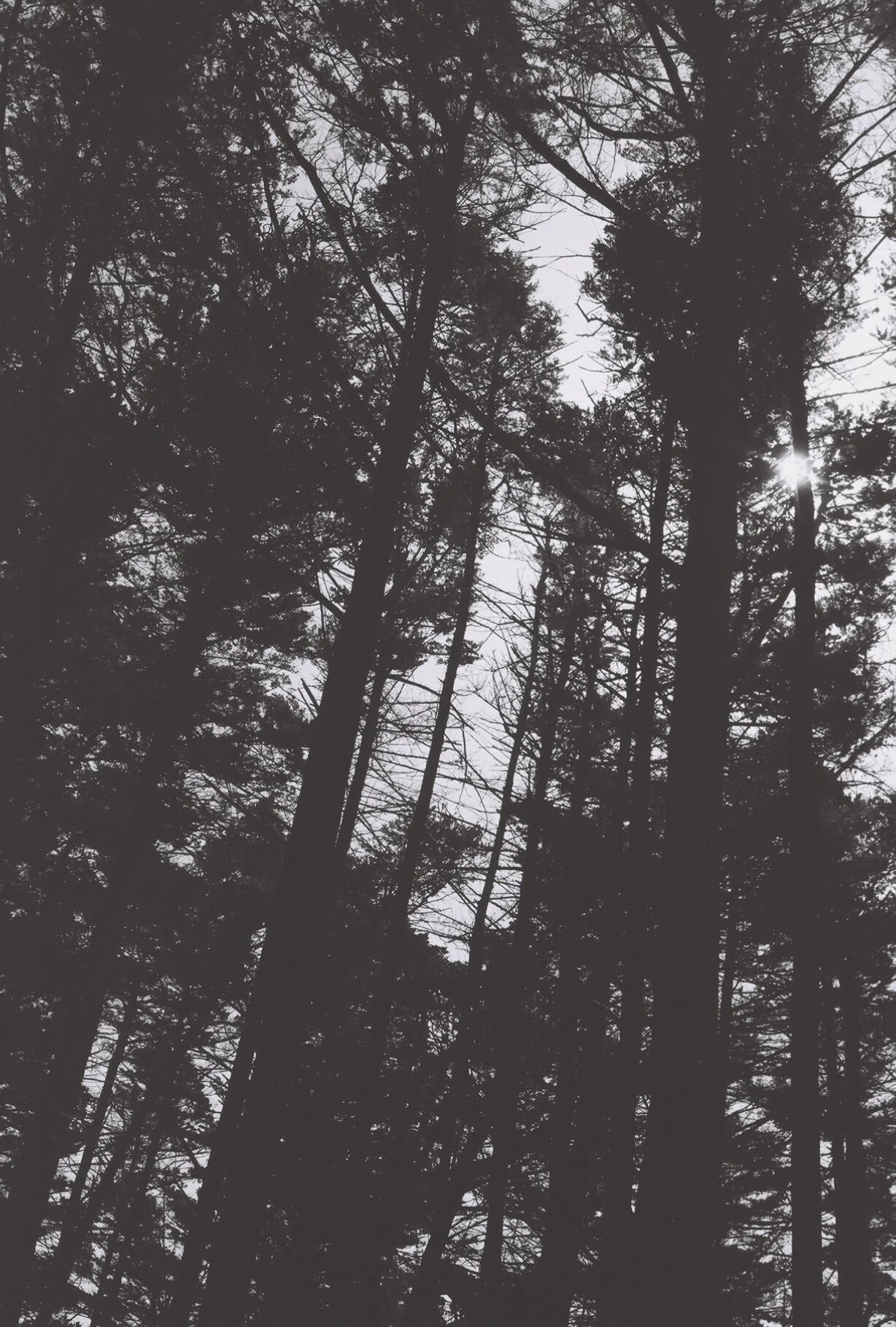 up, california, 2021