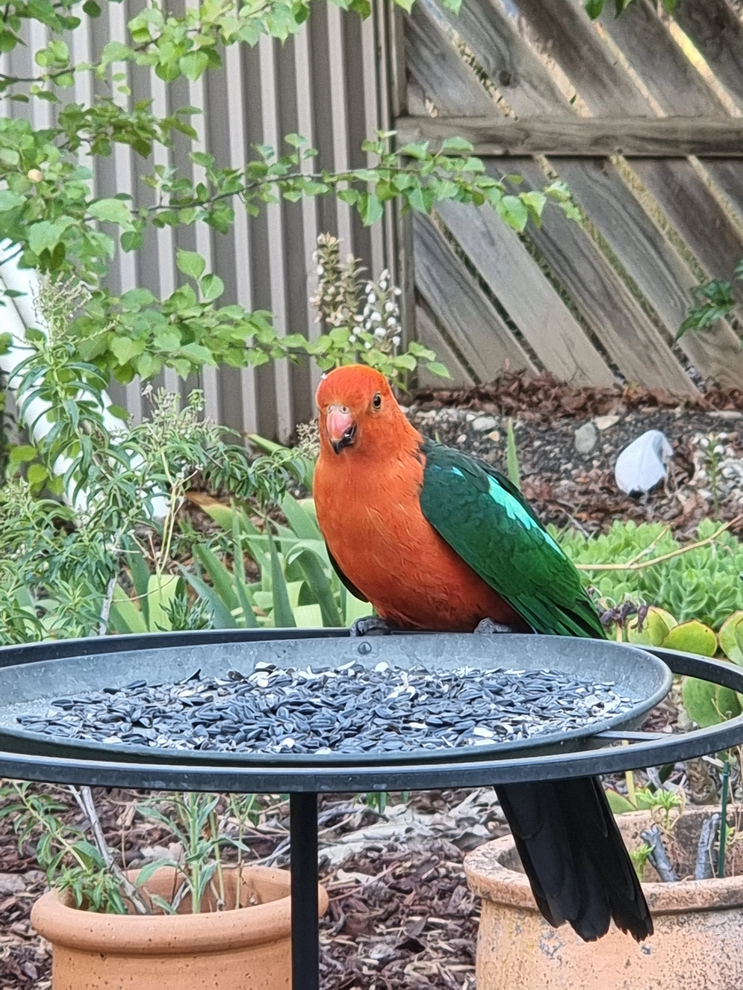 How I Reset After the Holidays Without Burning Out