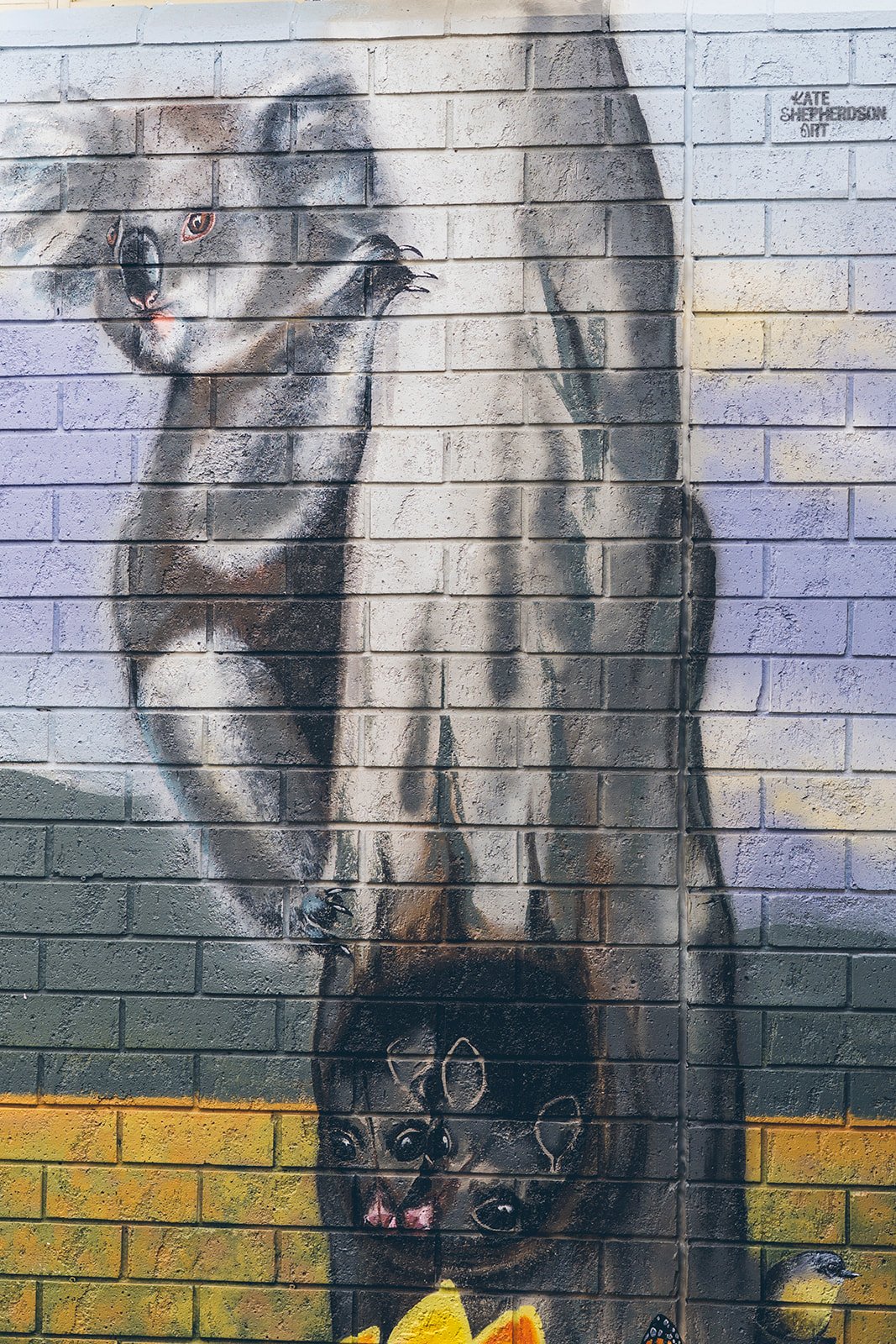 161_Kate_Shepherdson_Murals_websize.jpg