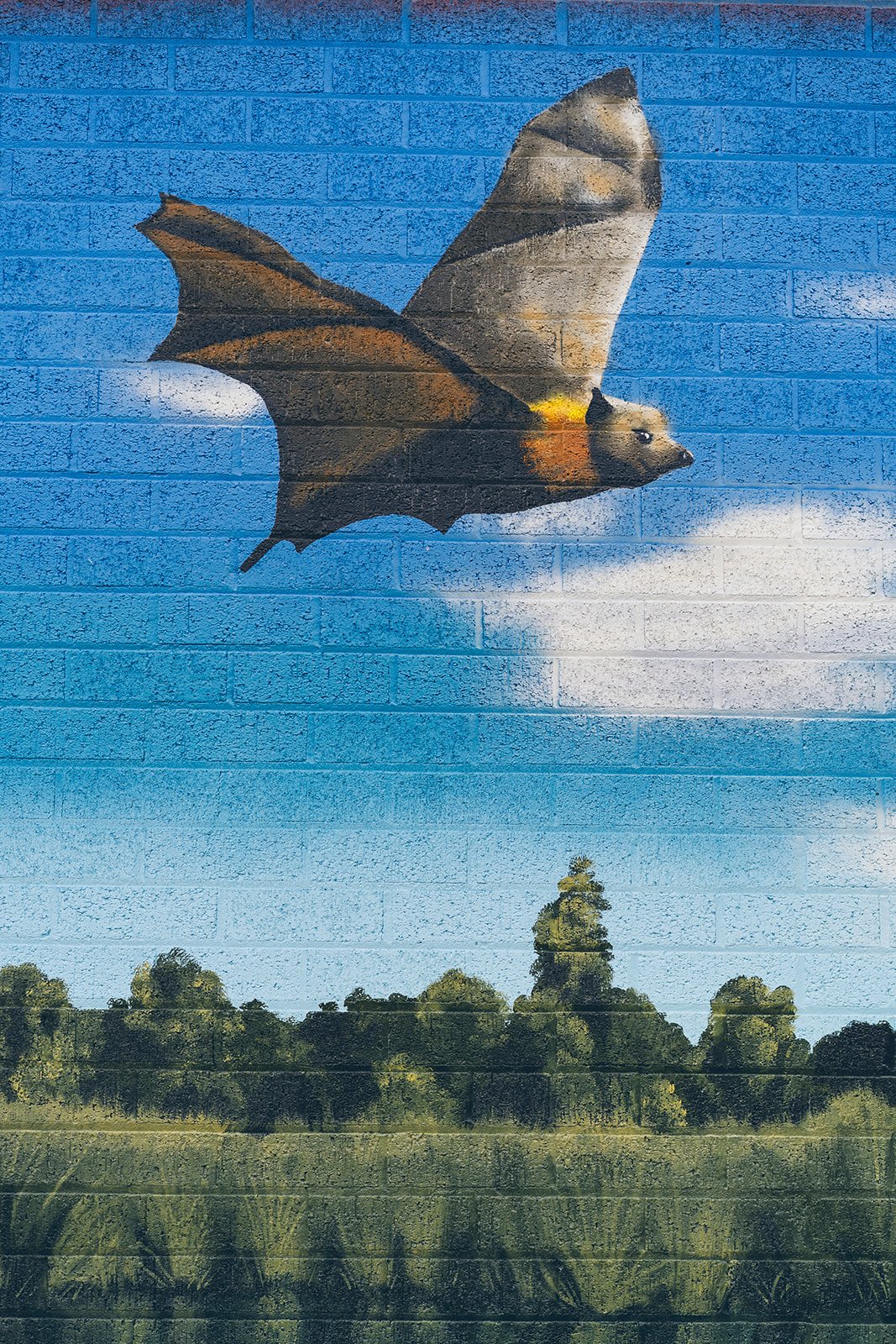 122_Kate_Shepherdson_Murals_websize.jpg