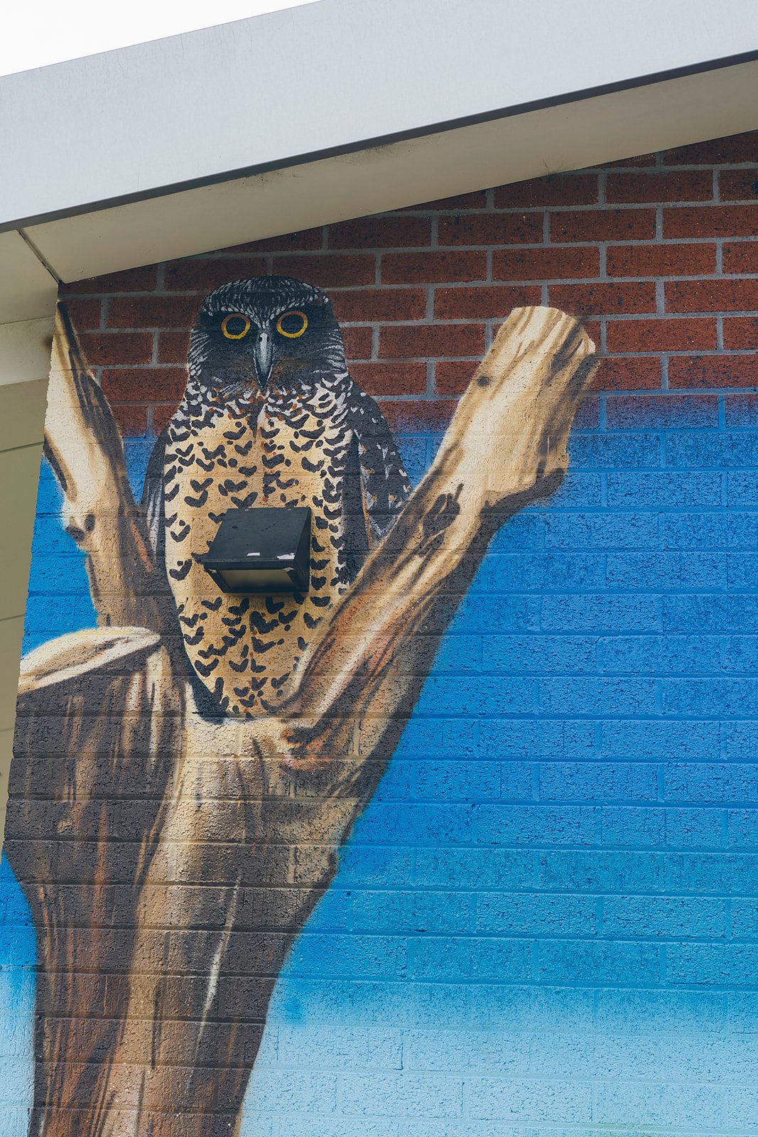 126_Kate_Shepherdson_Murals_websize.jpg