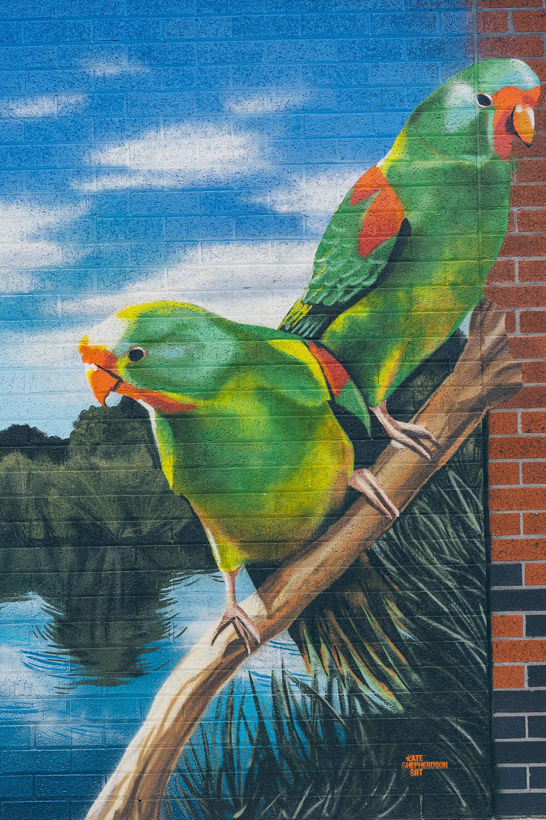 123_Kate_Shepherdson_Murals_websize.jpg