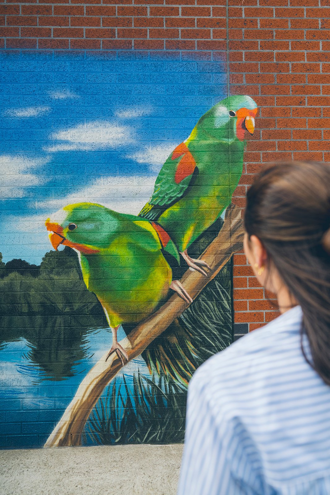 105_Kate_Shepherdson_Murals_websize.jpg
