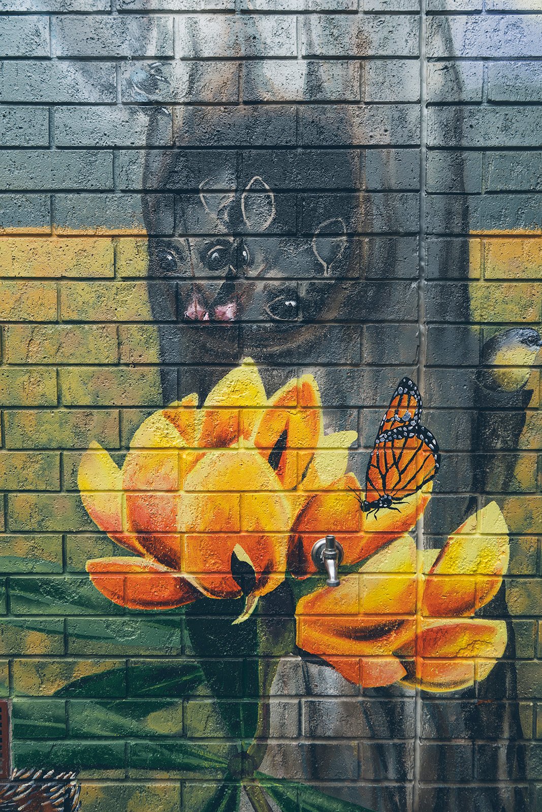 147_Kate_Shepherdson_Murals_websize.jpg