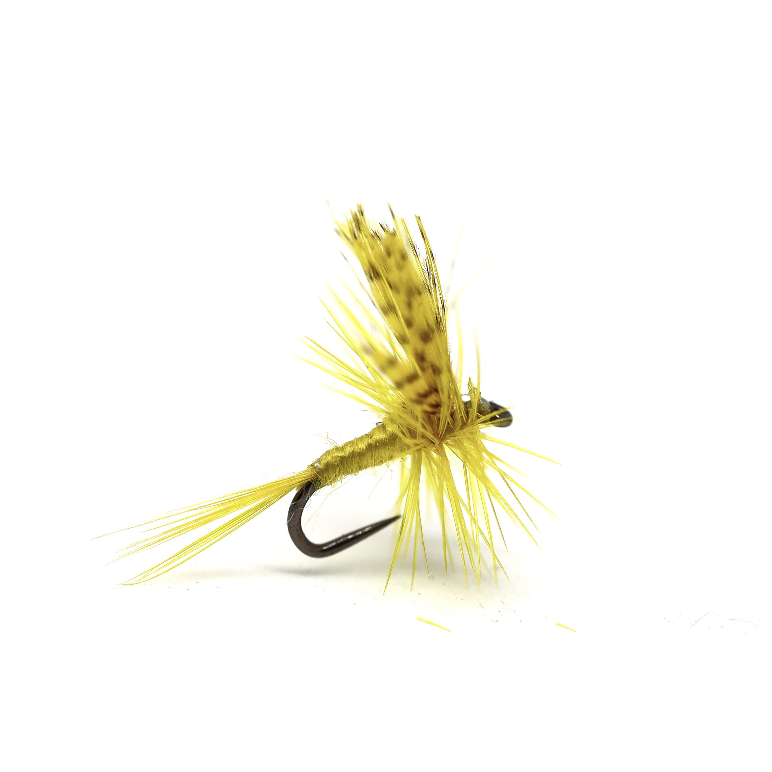Little Sulphur