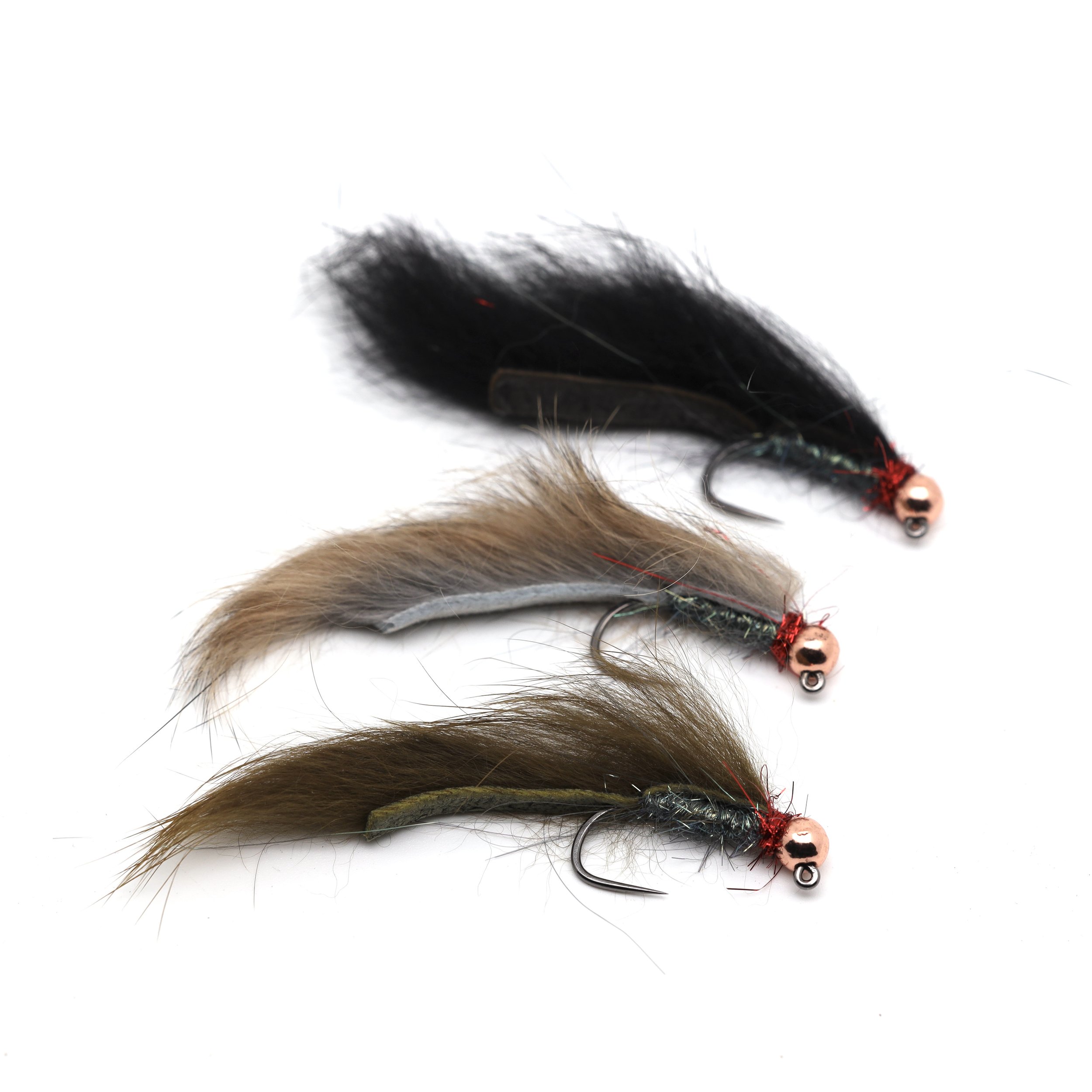 Peacock Leech