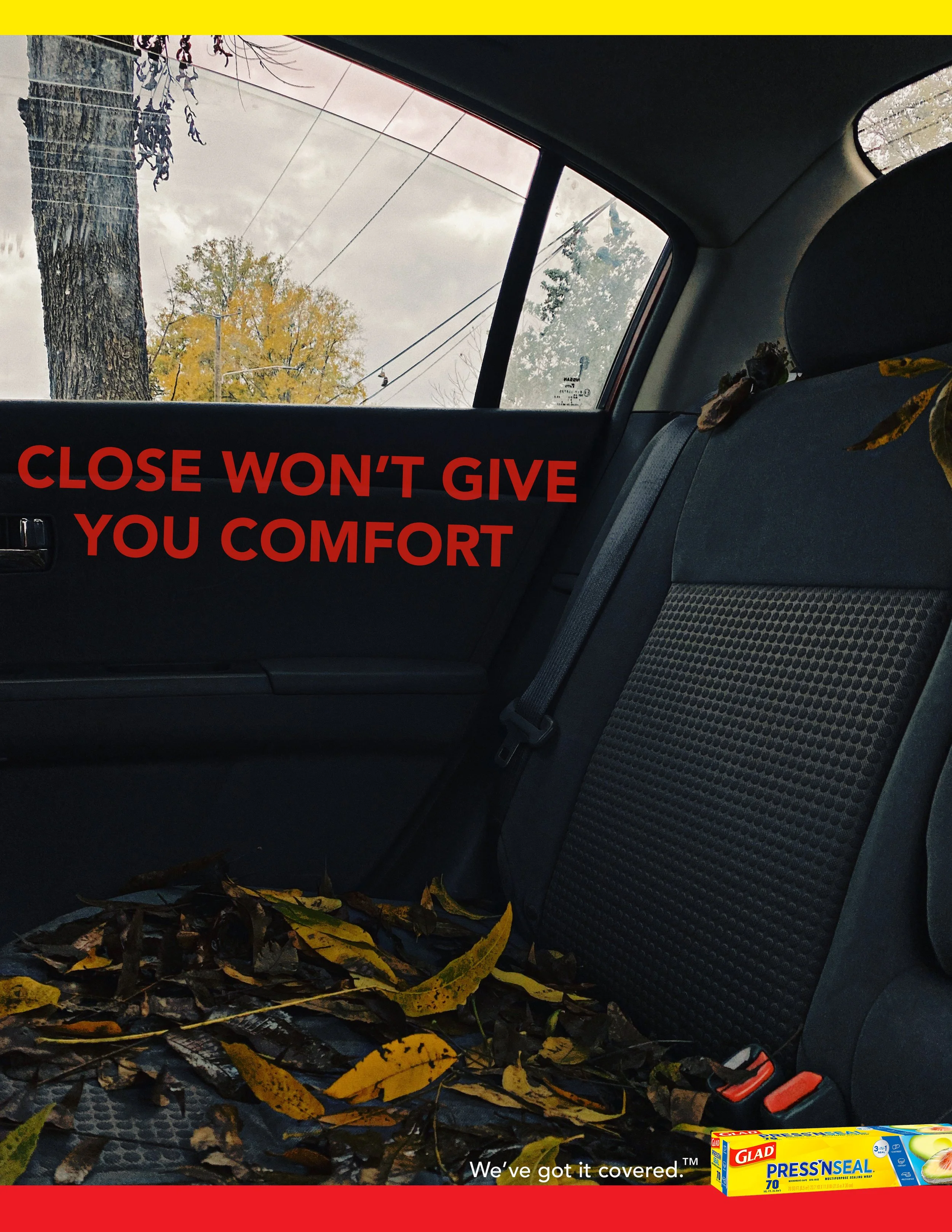 cardoor.jpg