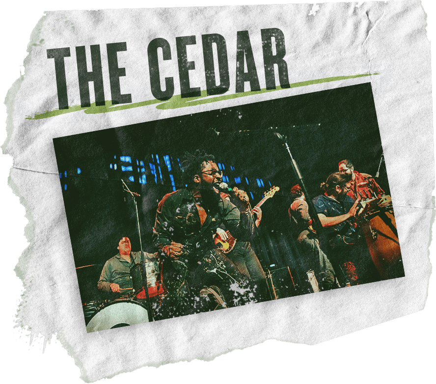 The Cedar