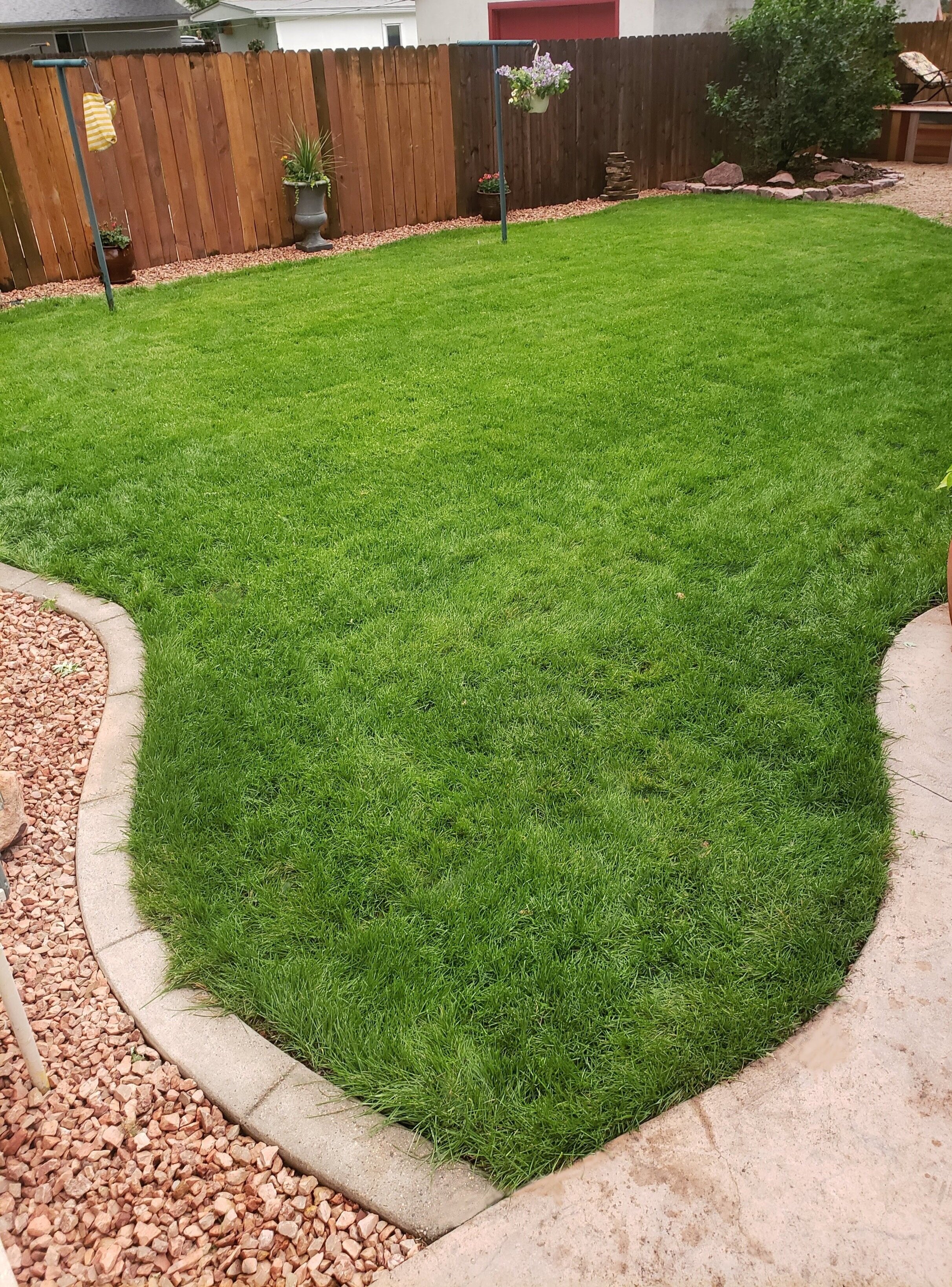 back+yard+edited.jpg