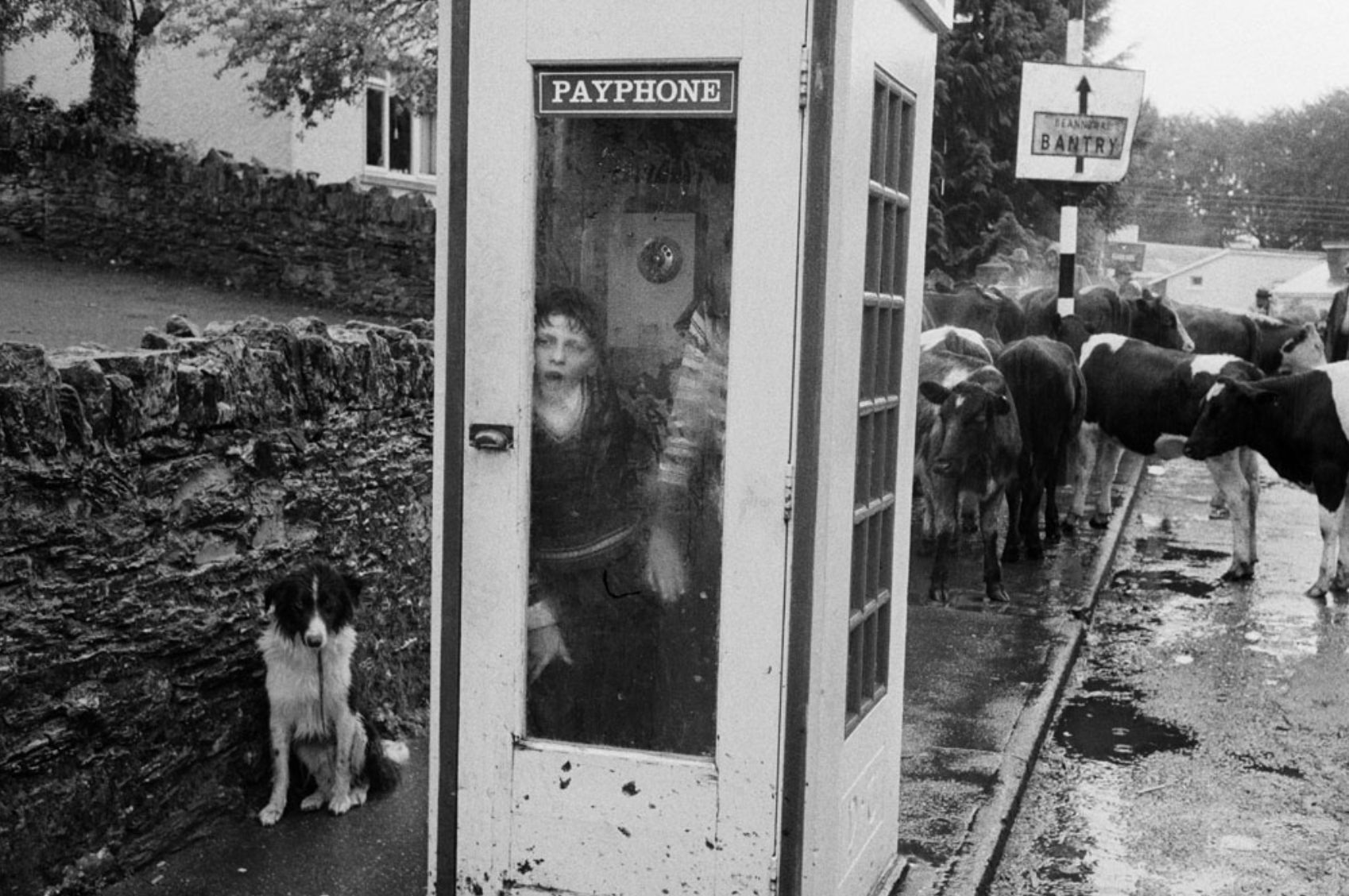 Kenmare Fair, County Kerry, 1982