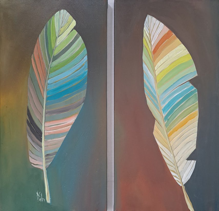 feathers of a rainbow