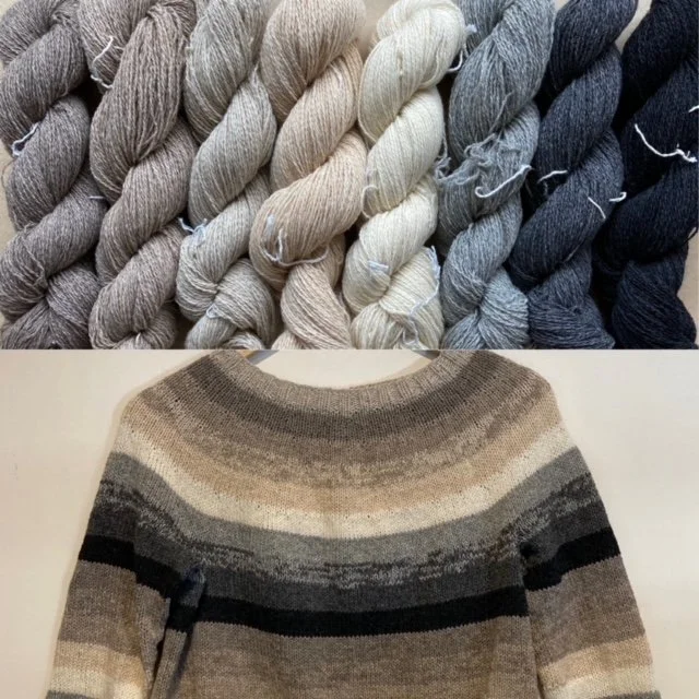 Spinning Yarns Weaving Tales — The Big Wool Show