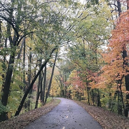 bluemont junction trail.jpg