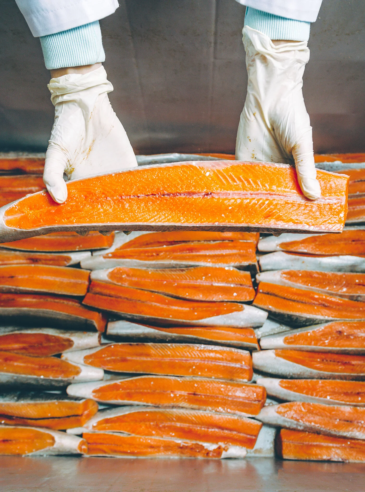 Seafood Processing.jpg