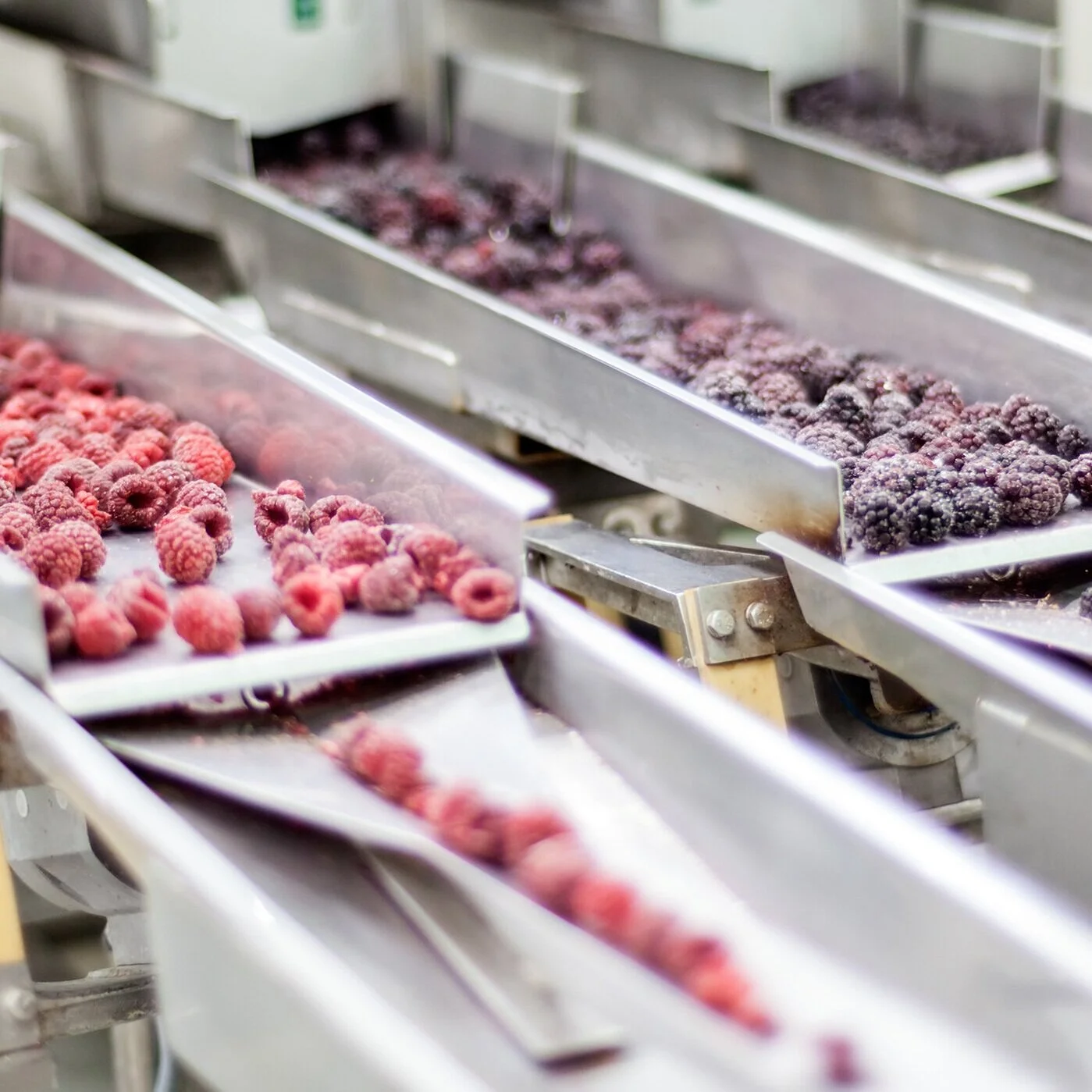 Fruit &amp; Vegetable Processing
