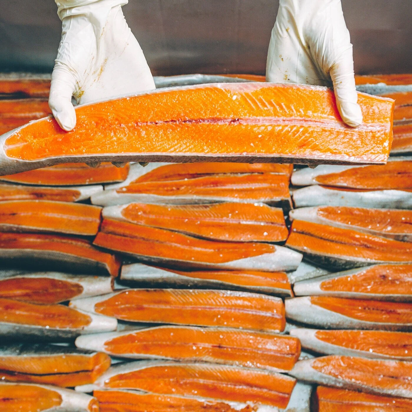 Seafood Processing