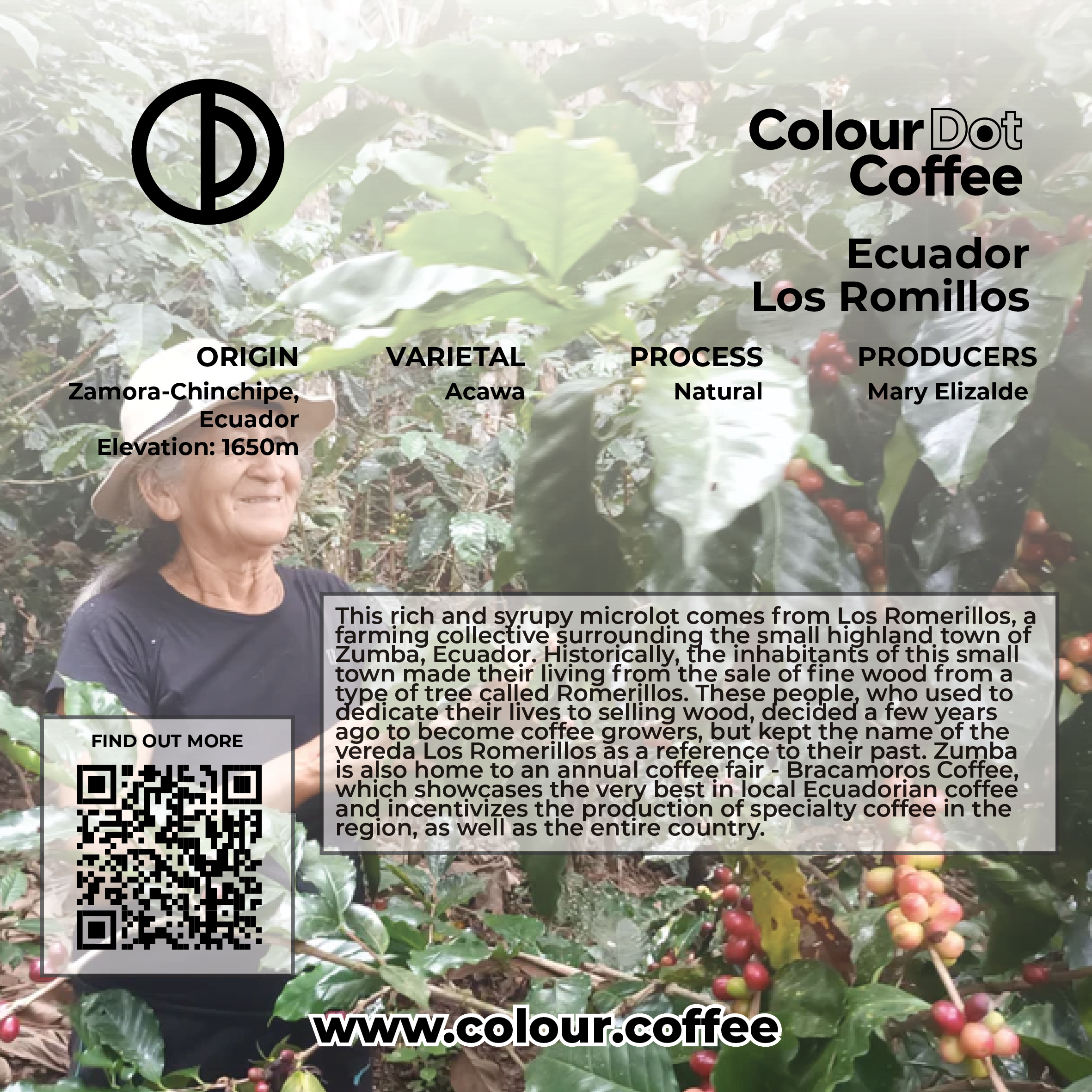 ecuador mary tasting card2.png
