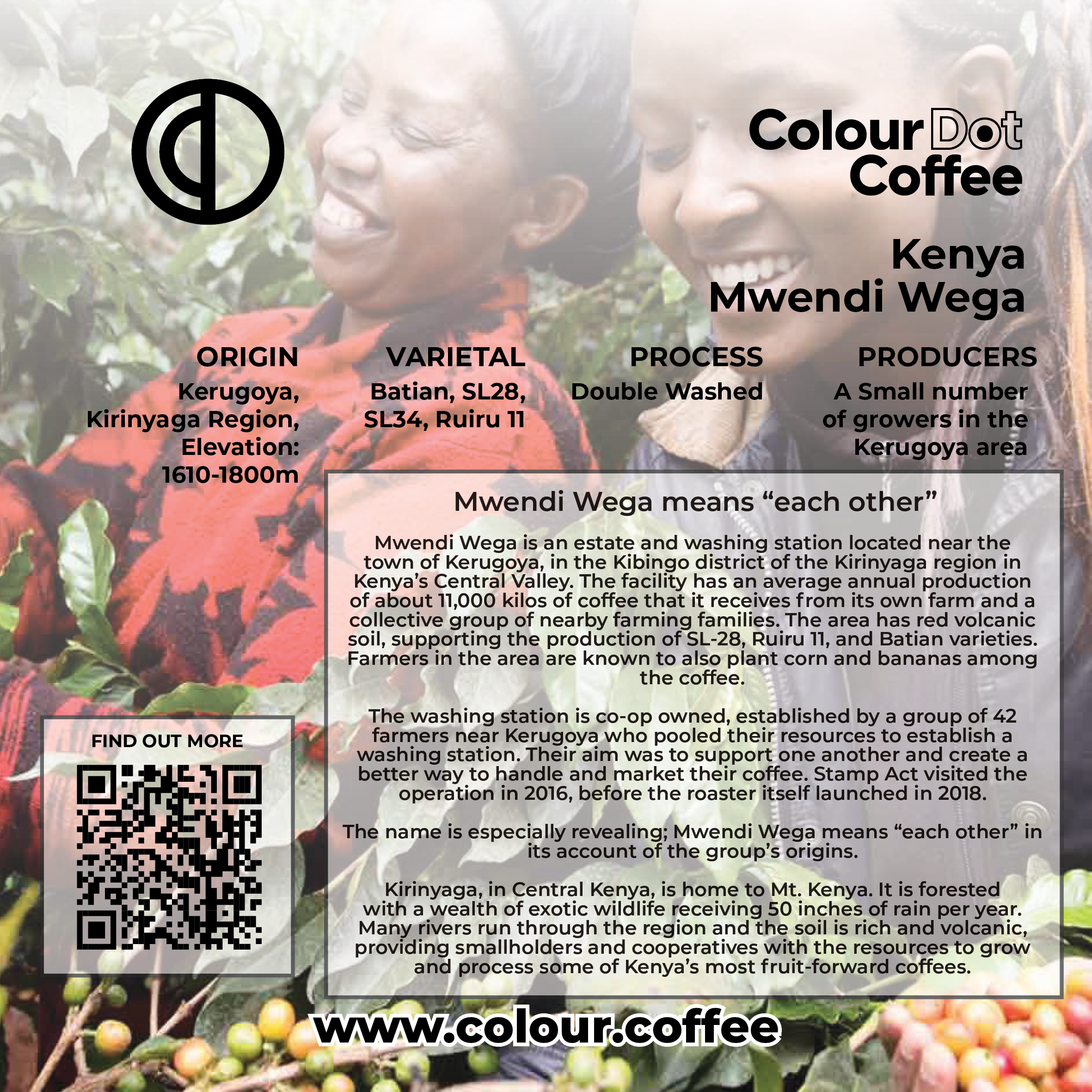 Kenya mwendi wega tasting and web2.png