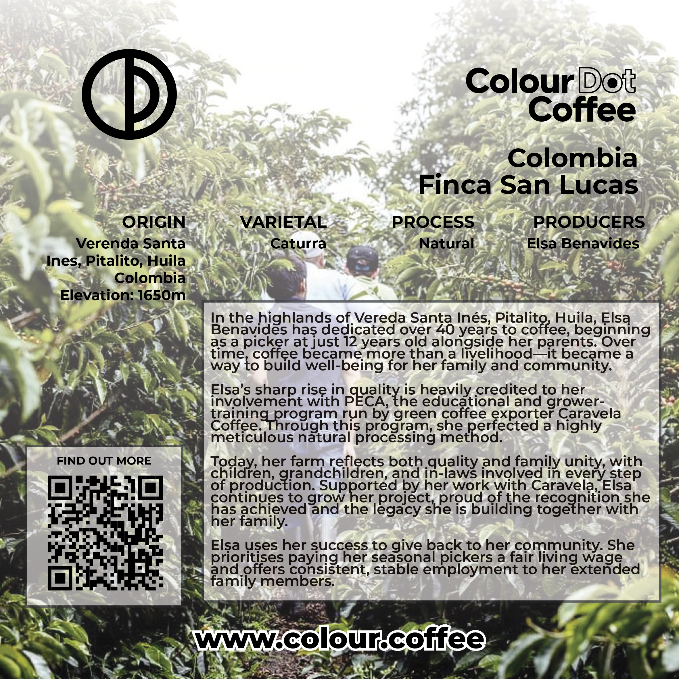 Colom Elsa  tasting card2.png