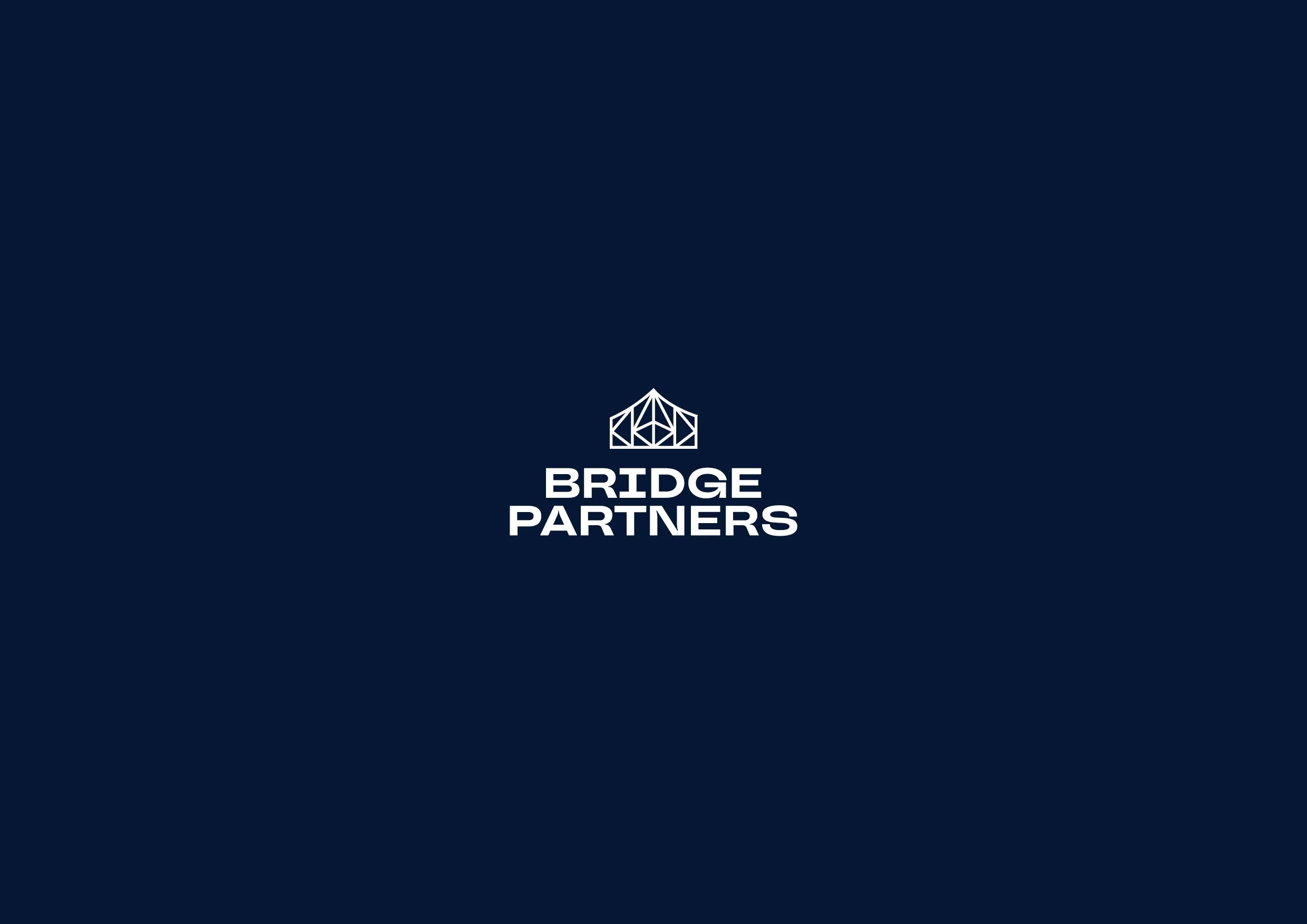 BridgePartners-Brand-Guide-1.jpg
