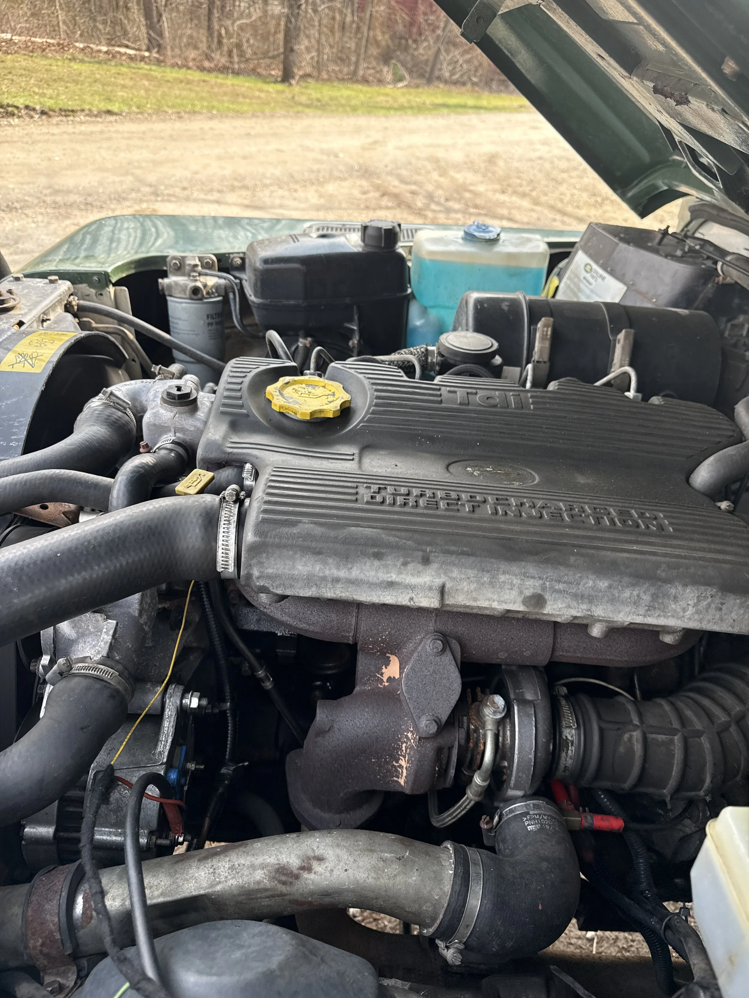 IMG_2229 2.JPG