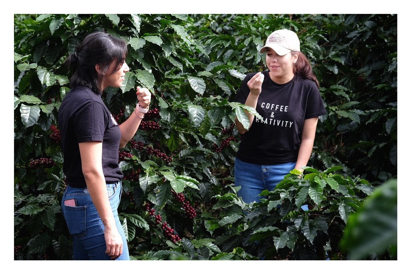 &ldquo;Finqueando&rdquo;, local slang to describe visiting coffee farms with good friends. Thanks so much for stopping by.