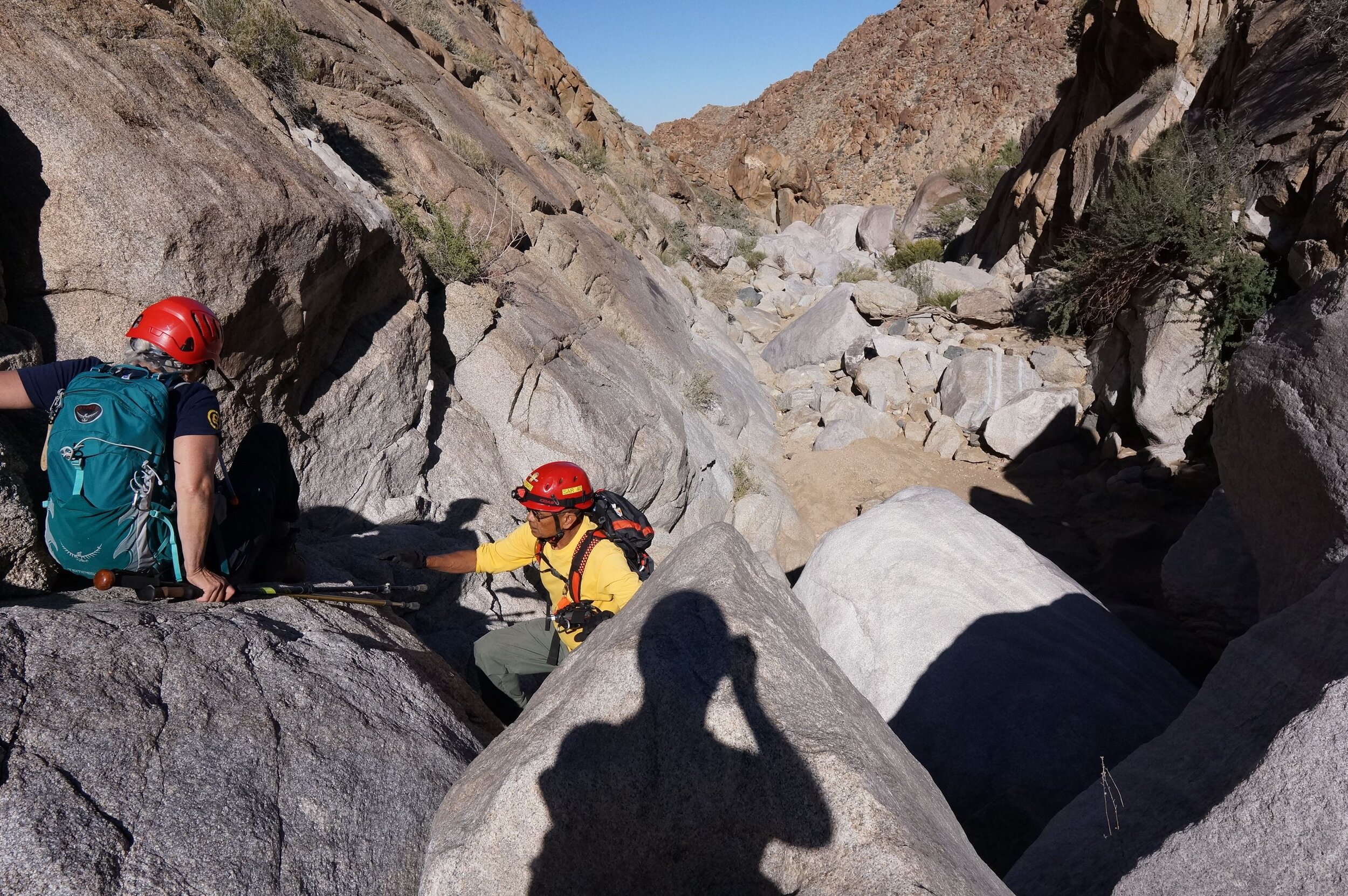 Volunteer searchers