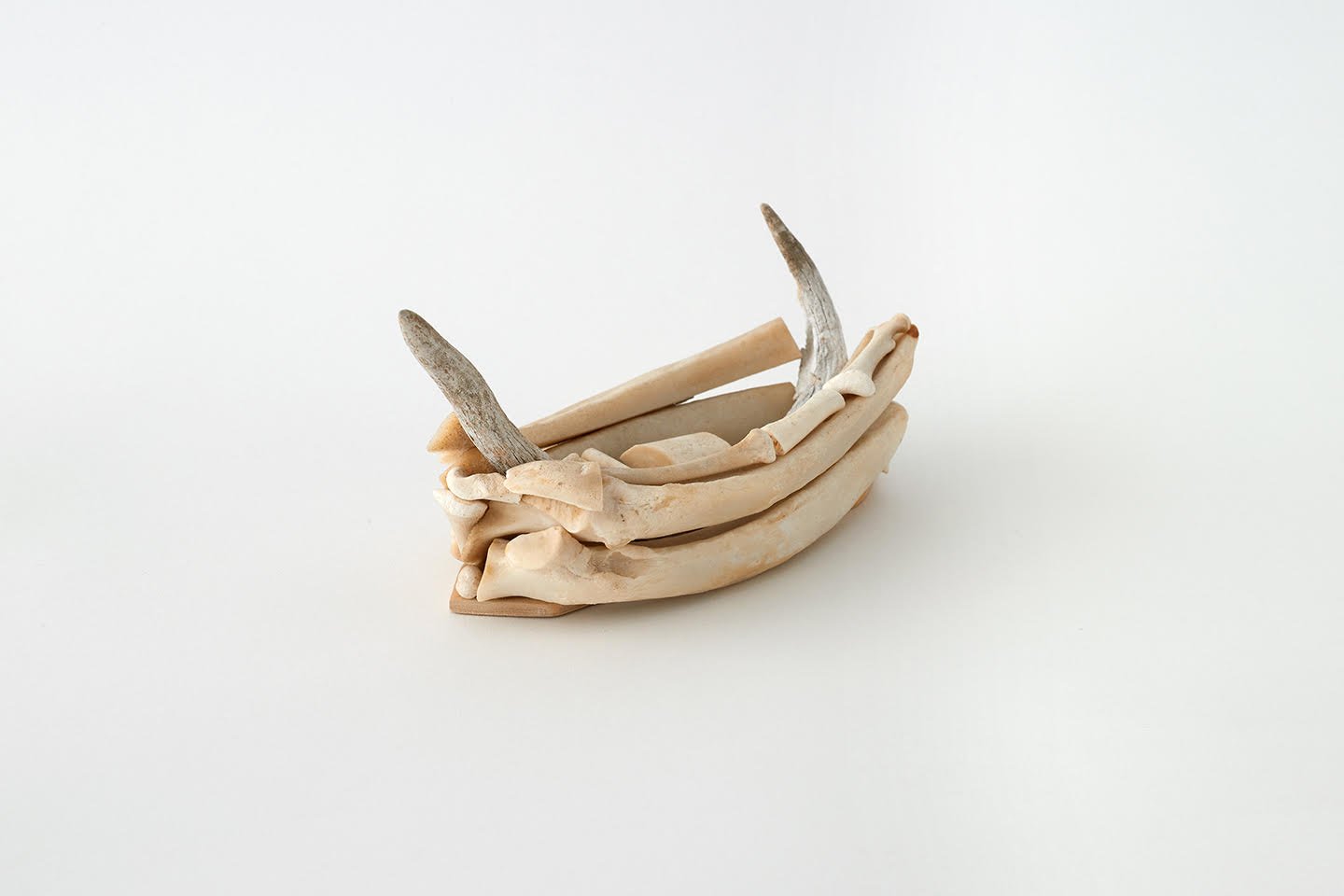 bone ship evan.jpg