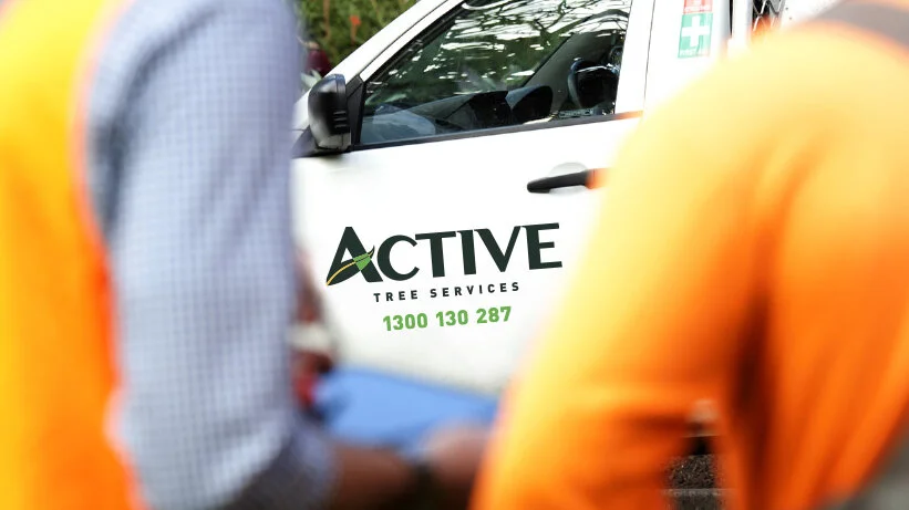 Vehicle branding by Ox brand