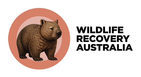 Wildlife Recovery Australia Launches Its New National Brand