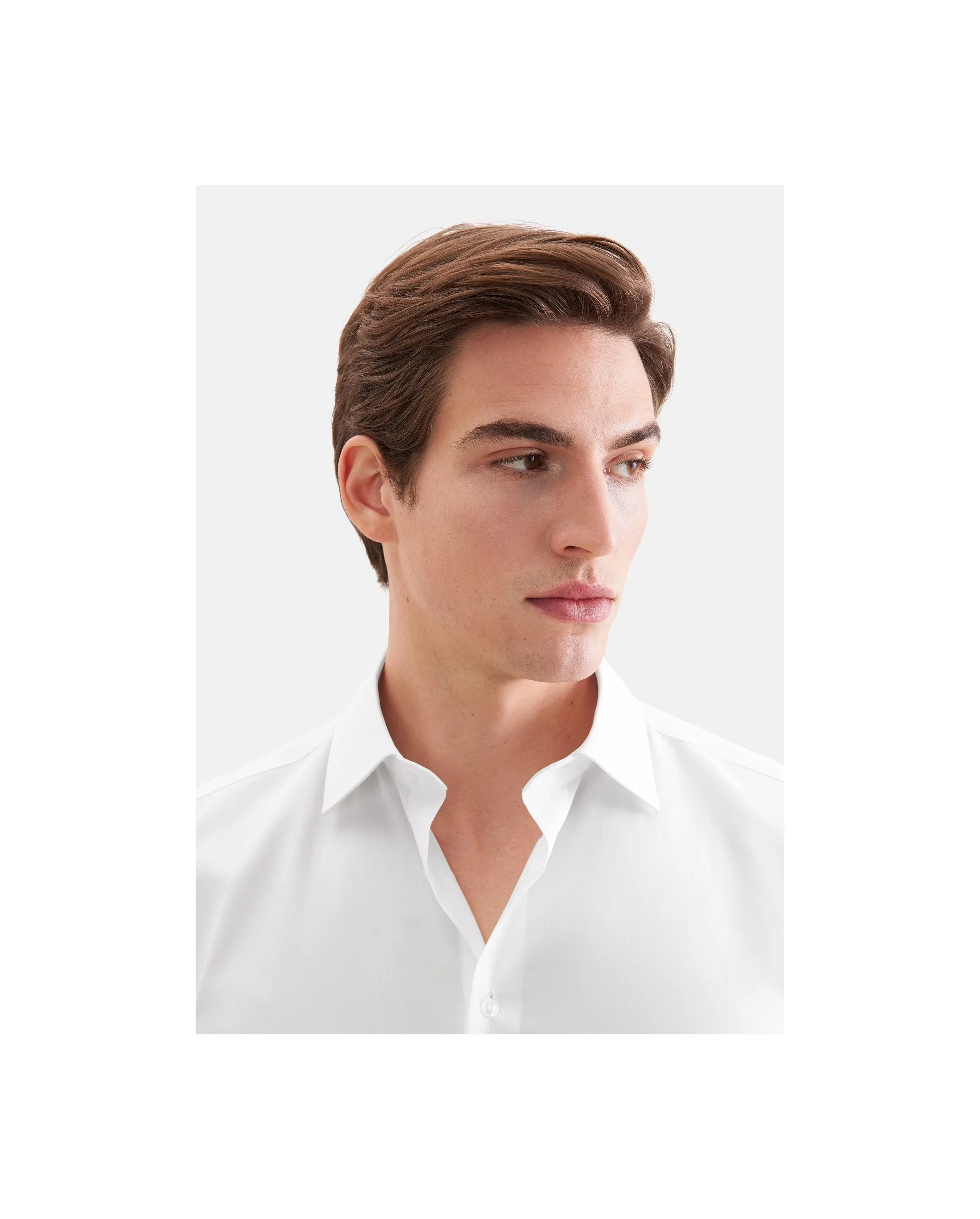 White Shaped Seidensticker1.jpg