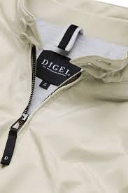 Digel Daylon3.jpg