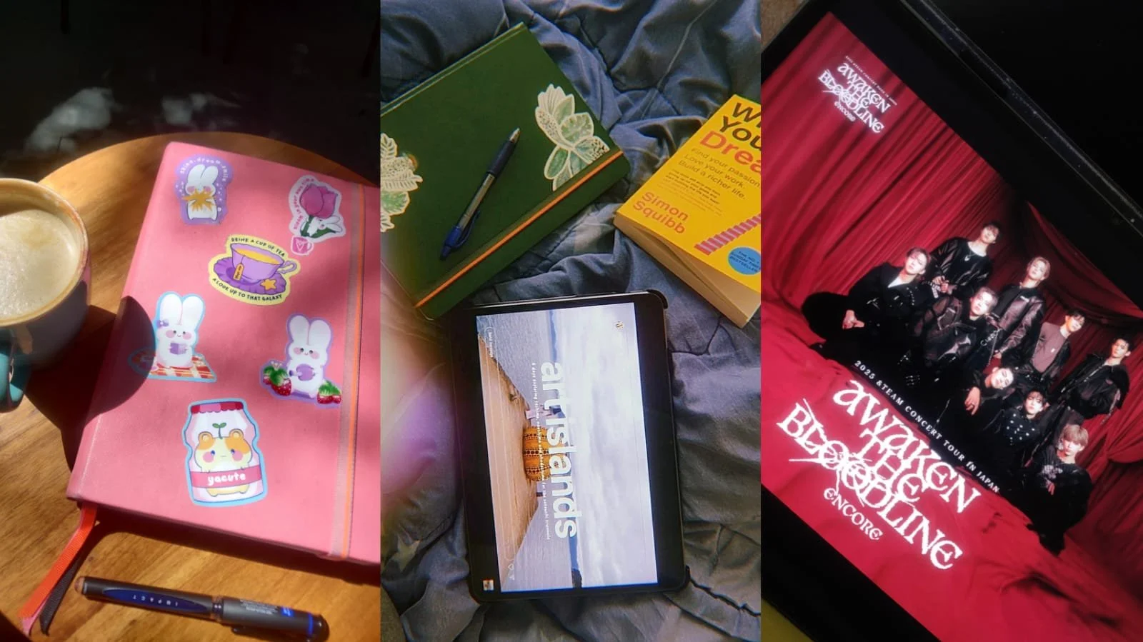 Being a Fan Makes Your Life Happier