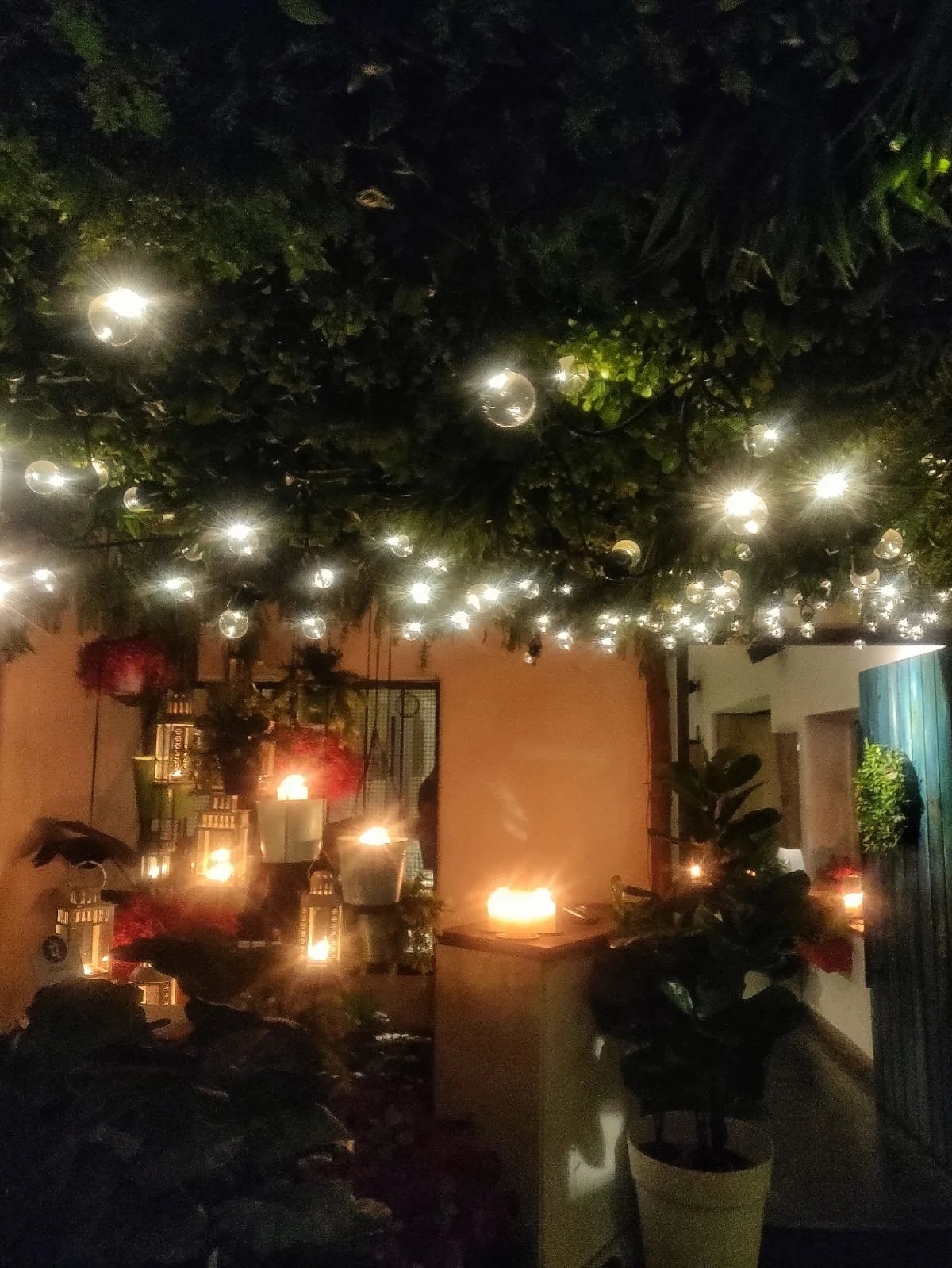 Vietnamese restaurant in bangalore, phobidden fruit